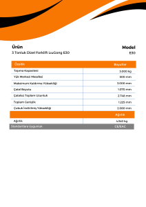 3 Tonluk Dizel Forklift LiuGong E30