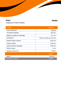 Liugong 3.5 Tonluk Tripleks